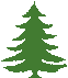 chrismas tree