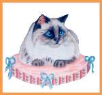 Pattes de chat sur coussin de soie