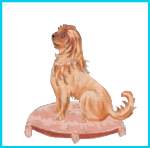 Coussin de chien à Long Poil
