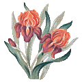 Tapisserie de pensées en fleurs